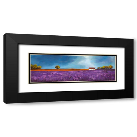 Field of lavender Black Modern Wood Framed Art Print with Double Matting by Bloom, Philip