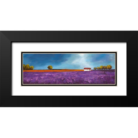 Field of lavender Black Modern Wood Framed Art Print with Double Matting by Bloom, Philip
