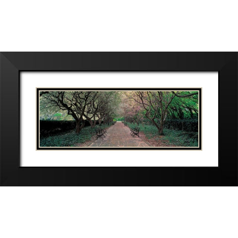 Through Conservatory Garden Central Park NYC Black Modern Wood Framed Art Print with Double Matting by Berenholtz, Richard
