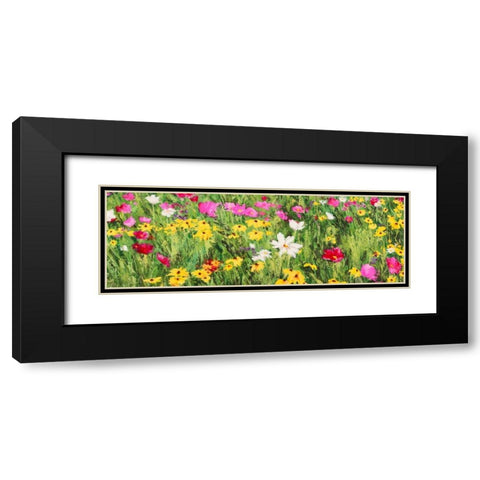 Field of Flowers Black Modern Wood Framed Art Print with Double Matting by Mei, Silvia