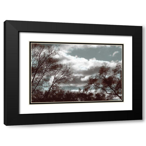 Looking Upward Black Modern Wood Framed Art Print with Double Matting by Romita, Denise