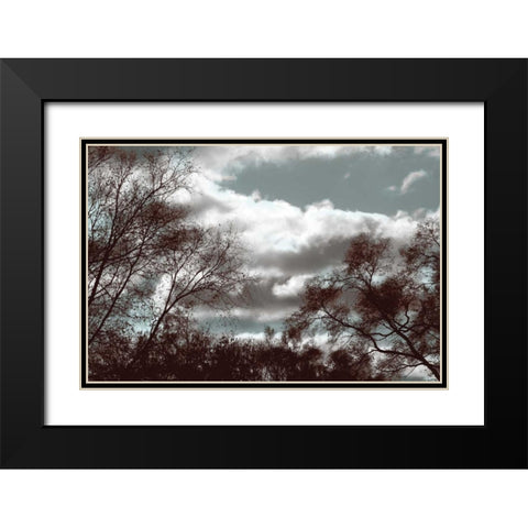 Looking Upward Black Modern Wood Framed Art Print with Double Matting by Romita, Denise