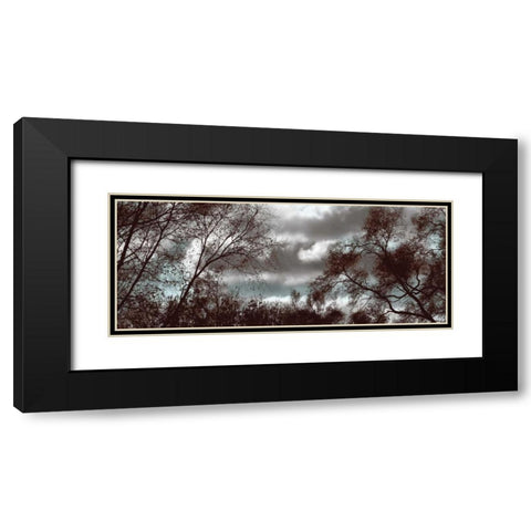 Looking Upward Panel Black Modern Wood Framed Art Print with Double Matting by Romita, Denise