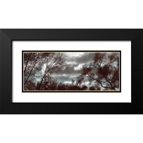Looking Upward Panel Black Modern Wood Framed Art Print with Double Matting by Romita, Denise