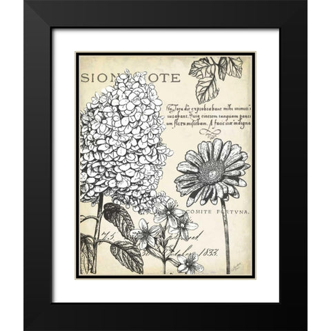 Pen and Ink Floral Study II  Black Modern Wood Framed Art Print with Double Matting by Cusson, Marie Elaine