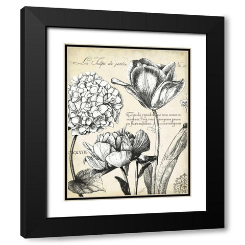 Pen and Ink Floral Study IV  Black Modern Wood Framed Art Print with Double Matting by Cusson, Marie Elaine