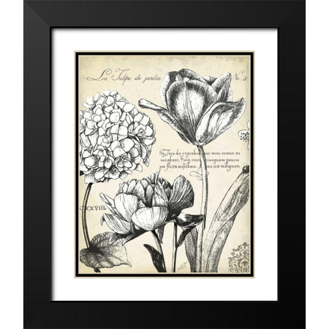 Pen and Ink Floral Study IV  Black Modern Wood Framed Art Print with Double Matting by Cusson, Marie Elaine