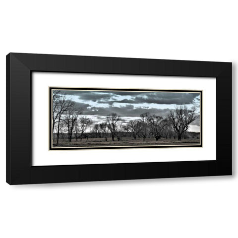 Big Sky    Black Modern Wood Framed Art Print with Double Matting by Romita, Denise