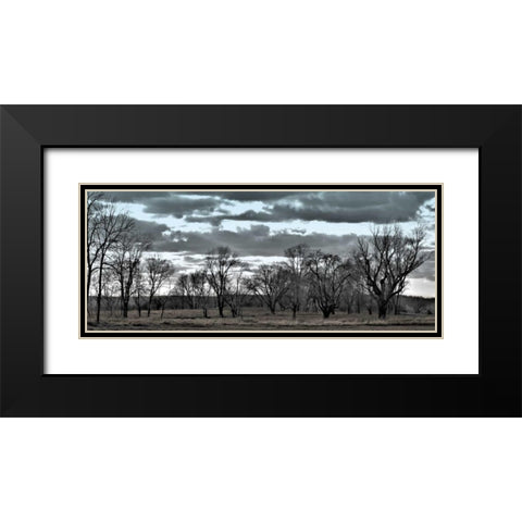 Big Sky    Black Modern Wood Framed Art Print with Double Matting by Romita, Denise