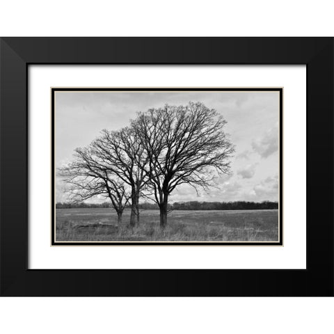 Standing Together Black Modern Wood Framed Art Print with Double Matting by Romita, Denise