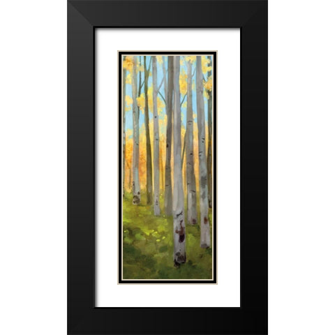 Birch Woods Panel II Black Modern Wood Framed Art Print with Double Matting by Milan, Vittorio
