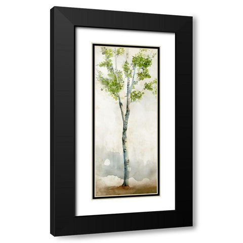 Watercolor Birch Trees I  Black Modern Wood Framed Art Print with Double Matting by Milan, Vittorio