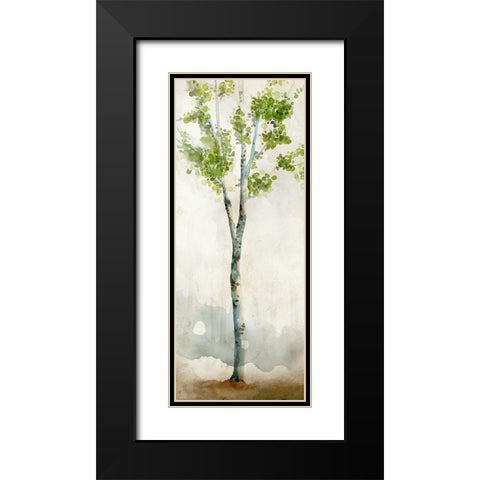 Watercolor Birch Trees I  Black Modern Wood Framed Art Print with Double Matting by Milan, Vittorio