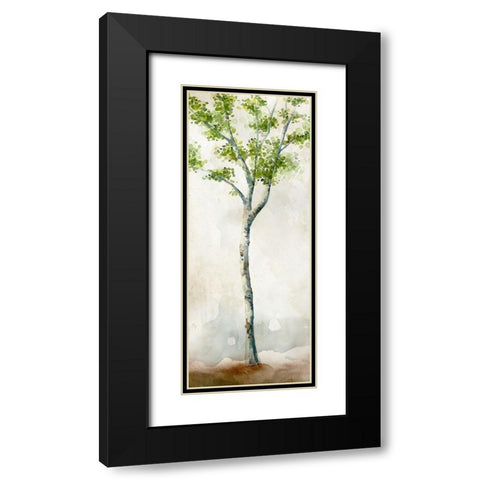 Watercolor Birch Trees II Black Modern Wood Framed Art Print with Double Matting by Milan, Vittorio