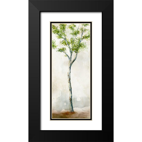 Watercolor Birch Trees II Black Modern Wood Framed Art Print with Double Matting by Milan, Vittorio