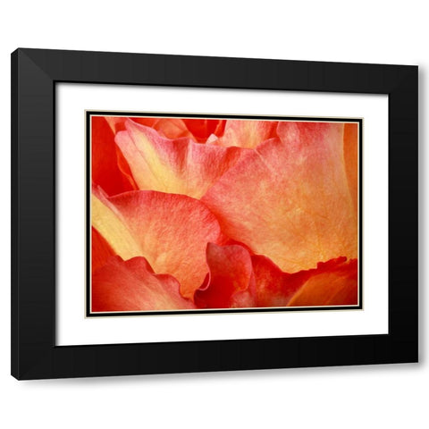 Fire  Black Modern Wood Framed Art Print with Double Matting by Michal, Susan