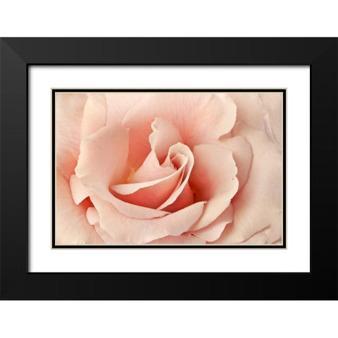 Rosa Black Modern Wood Framed Art Print with Double Matting by Michal, Susan