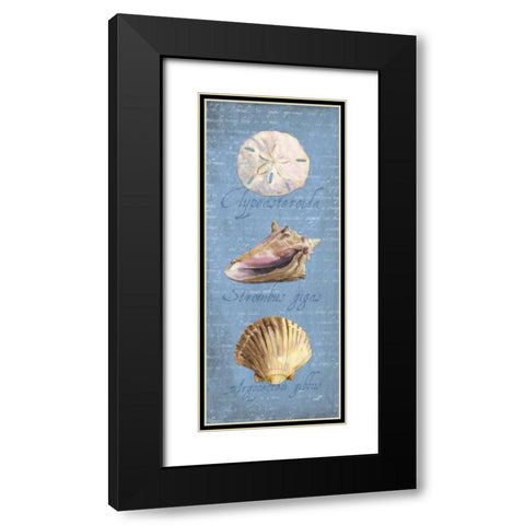 Oceanum Shell Panel Blue I Black Modern Wood Framed Art Print with Double Matting by Reed, Tara