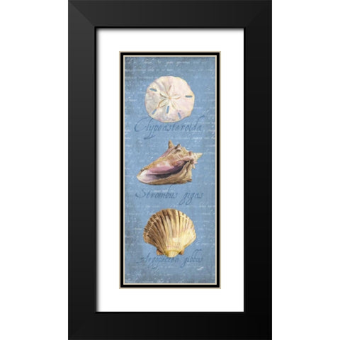 Oceanum Shell Panel Blue I Black Modern Wood Framed Art Print with Double Matting by Reed, Tara
