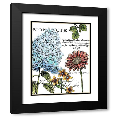 Botanical Postcard Color I Black Modern Wood Framed Art Print with Double Matting by Cusson, Marie Elaine