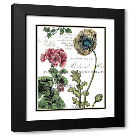 Botanical Postcard Color III Black Modern Wood Framed Art Print with Double Matting by Cusson, Marie Elaine