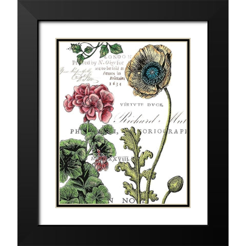 Botanical Postcard Color III Black Modern Wood Framed Art Print with Double Matting by Cusson, Marie Elaine