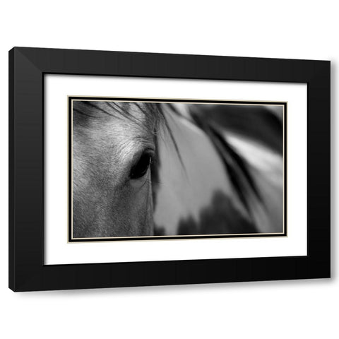 One Eye Black Modern Wood Framed Art Print with Double Matting by Tyrrell, Lu Anne