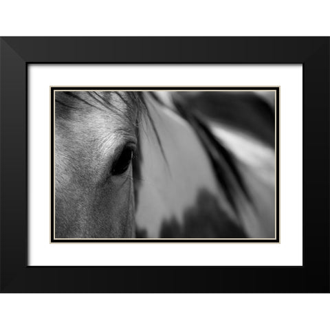 One Eye Black Modern Wood Framed Art Print with Double Matting by Tyrrell, Lu Anne