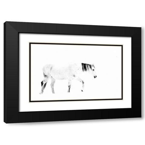 Equine Black Modern Wood Framed Art Print with Double Matting by Tyrrell, Lu Anne