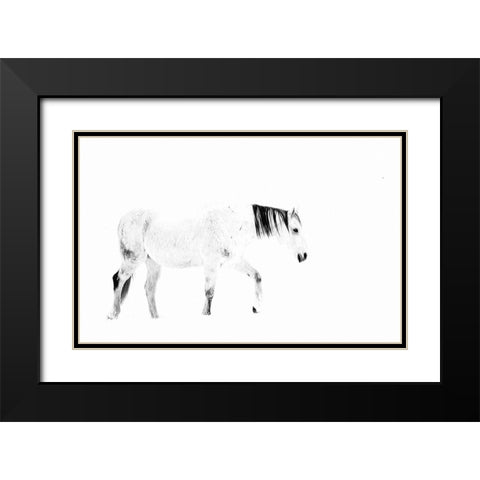 Equine Black Modern Wood Framed Art Print with Double Matting by Tyrrell, Lu Anne