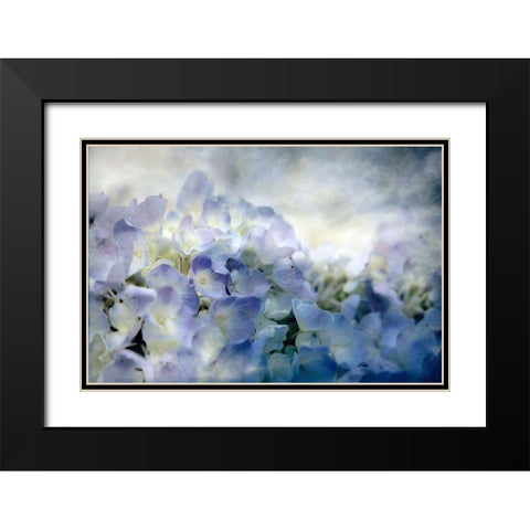 Calm Black Modern Wood Framed Art Print with Double Matting by Tyrrell, Lu Anne