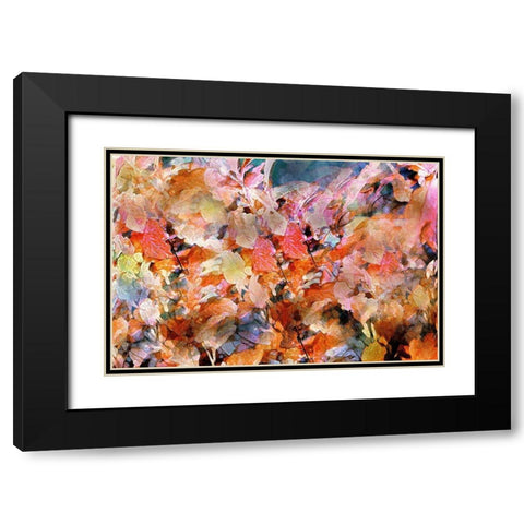 Falls Folly Black Modern Wood Framed Art Print with Double Matting by Tyrrell, Lu Anne