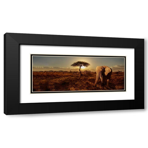 Elephant and Tree Black Modern Wood Framed Art Print with Double Matting by Michal, Susan