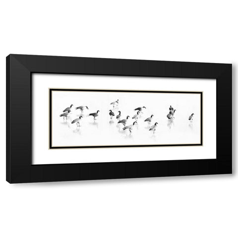 Flock of Canada Geese Black Modern Wood Framed Art Print with Double Matting by Tyrrell, LuAnne