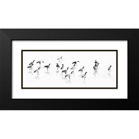 Flock of Canada Geese Black Modern Wood Framed Art Print with Double Matting by Tyrrell, LuAnne