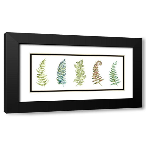 Botanical Ferns Panel Black Modern Wood Framed Art Print with Double Matting by Tre Sorelle Studios