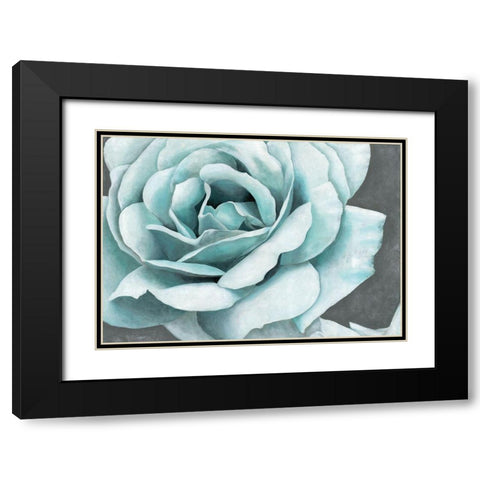 Rose Bloom Black Modern Wood Framed Art Print with Double Matting by Cusson, Marie-Elaine