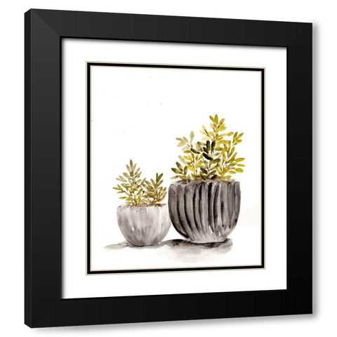Gray Potted Plants Black Modern Wood Framed Art Print with Double Matting by Chapman, Marcy