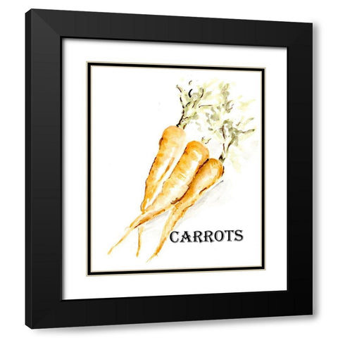 Veggie Sketch  V-Carrots Black Modern Wood Framed Art Print with Double Matting by Chapman, Marcy