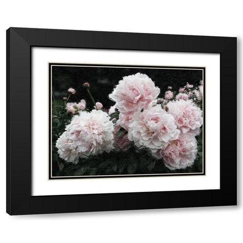 Peony  Poetry I Black Modern Wood Framed Art Print with Double Matting by Cusson, Marie Elaine