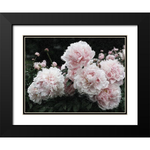 Peony  Poetry I Black Modern Wood Framed Art Print with Double Matting by Cusson, Marie Elaine