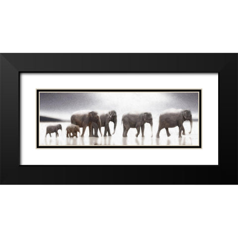 Elephant  Mirage Black Modern Wood Framed Art Print with Double Matting by Bay, Noah