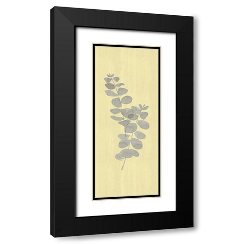 Natural Inspiration Eucalyptus vertical gray And yellow II Black Modern Wood Framed Art Print with Double Matting by Reed, Tara