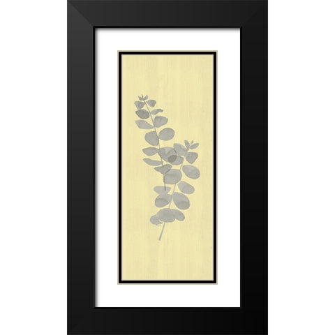Natural Inspiration Eucalyptus vertical gray And yellow II Black Modern Wood Framed Art Print with Double Matting by Reed, Tara