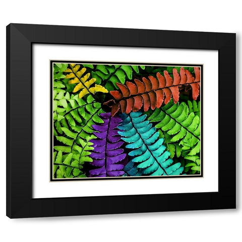 Feel  the Fern Black Modern Wood Framed Art Print with Double Matting by Manelis, Jessica