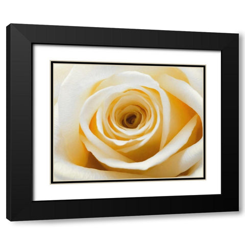 Gold  Rush Black Modern Wood Framed Art Print with Double Matting by Manelis, Jessica