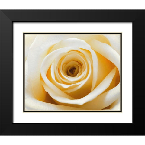 Gold  Rush Black Modern Wood Framed Art Print with Double Matting by Manelis, Jessica