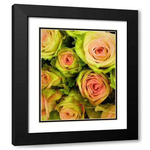 Green  And Pink Rose Bouquet Black Modern Wood Framed Art Print with Double Matting by Manelis, Jessica