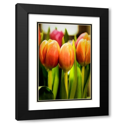 Radiant Black Modern Wood Framed Art Print with Double Matting by Manelis, Jessica