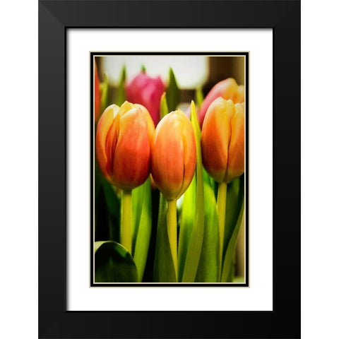 Radiant Black Modern Wood Framed Art Print with Double Matting by Manelis, Jessica